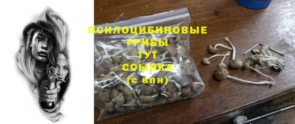 амф Алексеевка