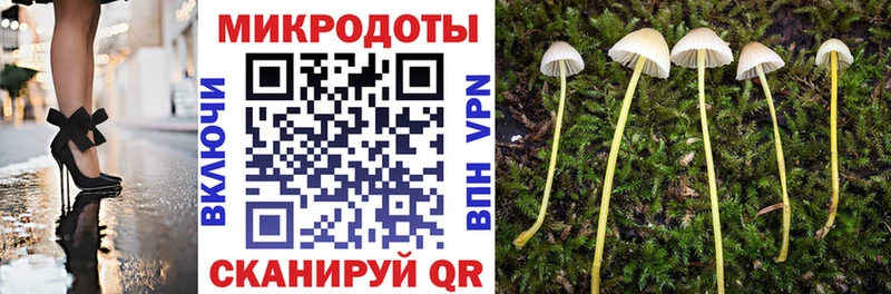 цены наркотик  Пермь  Псилоцибиновые грибы Psilocybine cubensis 